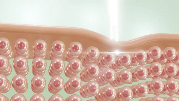 Gel Hidratante de Cuello: Adiós arrugas,hola juventud