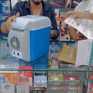 Mini Nevera de Coche Portátil