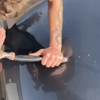 Kit Reparador de Arañazos para Autos