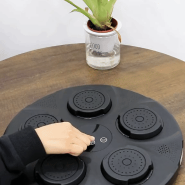 Boxeo Musical Divertido en Casa