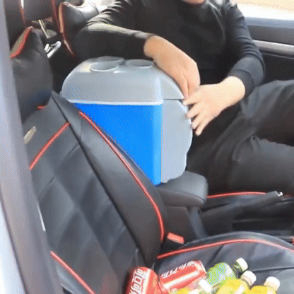 Mini Nevera de Coche Portátil