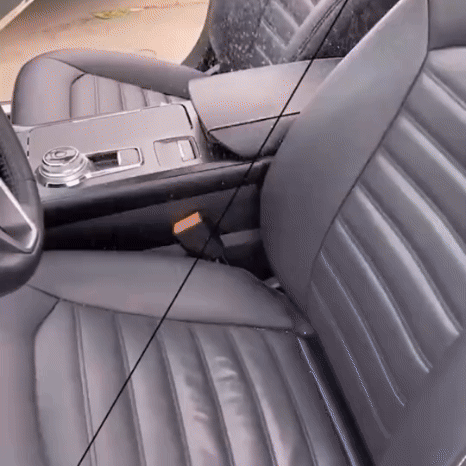 Limpiador Mágico de Autos