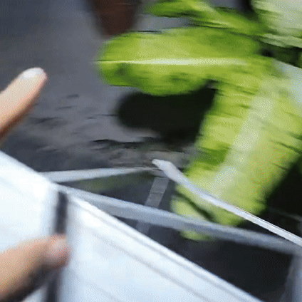 Luz Solar para Jardín Inteligente